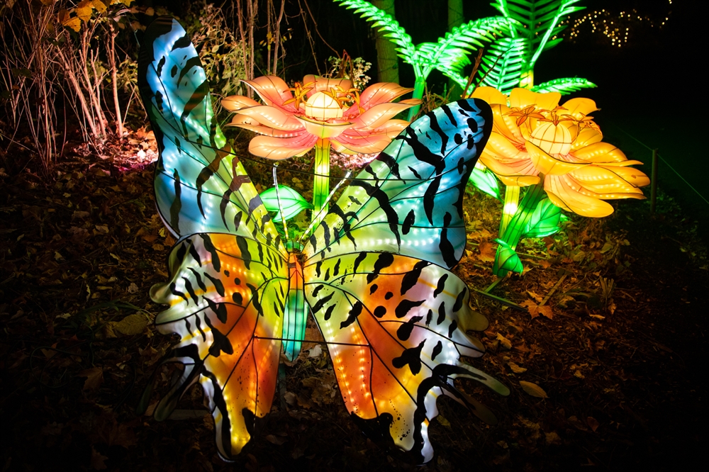 ‘Tis the Season Bronx Zoo’s Holiday Lights Returns With New Displays